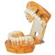 thumbnail image 4 of Modelo de implante ANGGREK 1 pieza color Naranja, 4 of 8