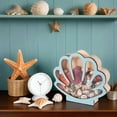 thumbnail image 4 of Wooden Seashell Display Case with Acrylic Panel, Beach Sea Shell Storage Box, 4 of 7