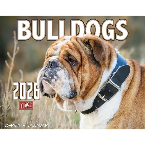 2026 Bulldogs Wall Calendar 16-Month X-Large Size 14x22, Dog Calendar by The KING Company-Monster Calendars