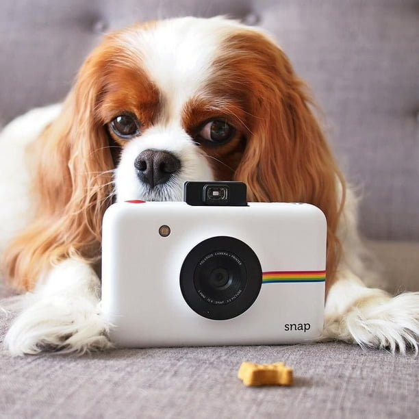 Polaroid Snap Instant Camera with Zink Zero Ink White Walmart.com