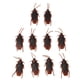 thumbnail image 3 of Zriyin Broma Cucarachas Broma Cucaracha Divertida Broma Cucarachas Falsas Juguete Truco, 5 piezas, 3 of 8