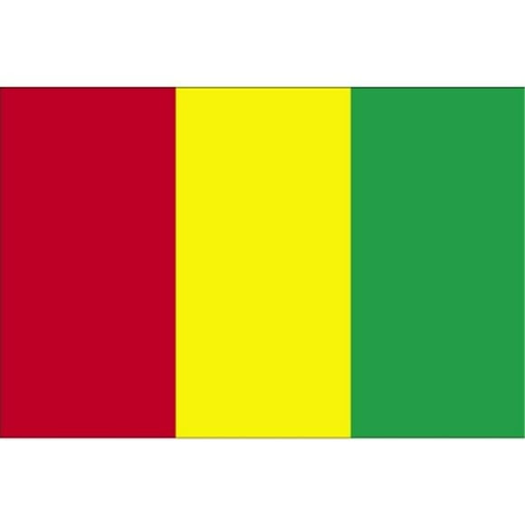 2 ft. X 3 ft. Nyl-Glo Guinea Flag
