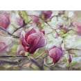 thumbnail image 2 of Yukish, Marina 14x12 White Modern Wood Framed Museum Art Print Titled - Magnolia, 2 of 4