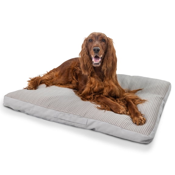 Best Friends by Sheri Cool & Cozy Dog Bed, Cooling Fabric with Shredded Foam & Plush Polyfill, Orthopedic Comfort for Dogs & Puppies, Water Resistant Base & Washable Cover, Gray, Medium, 36" x 27"