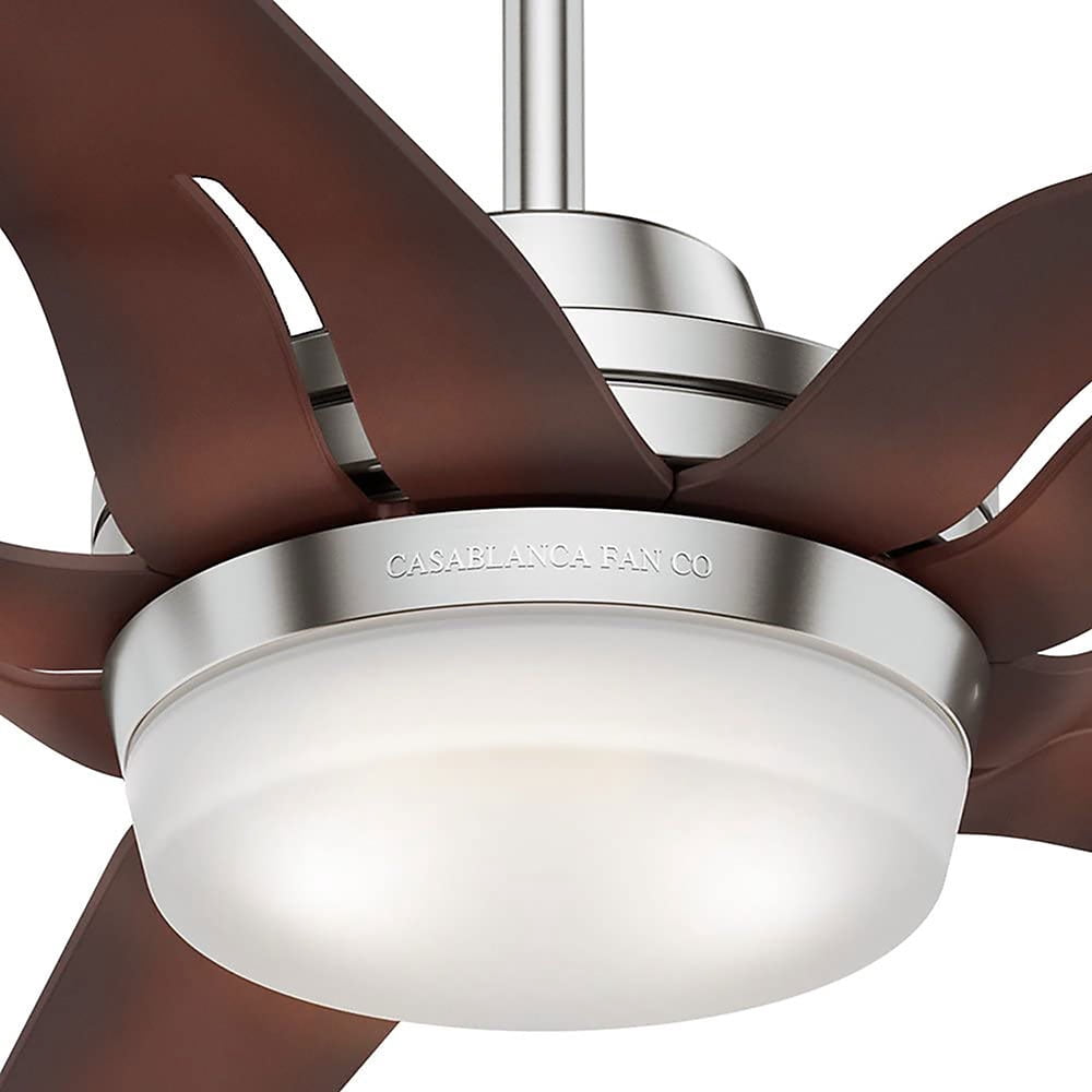 Hunter Fan Company Correne 56 Inch 4 Speed Indoor Ceiling Fan, Coffee Sansujyuku sansujyuku.com