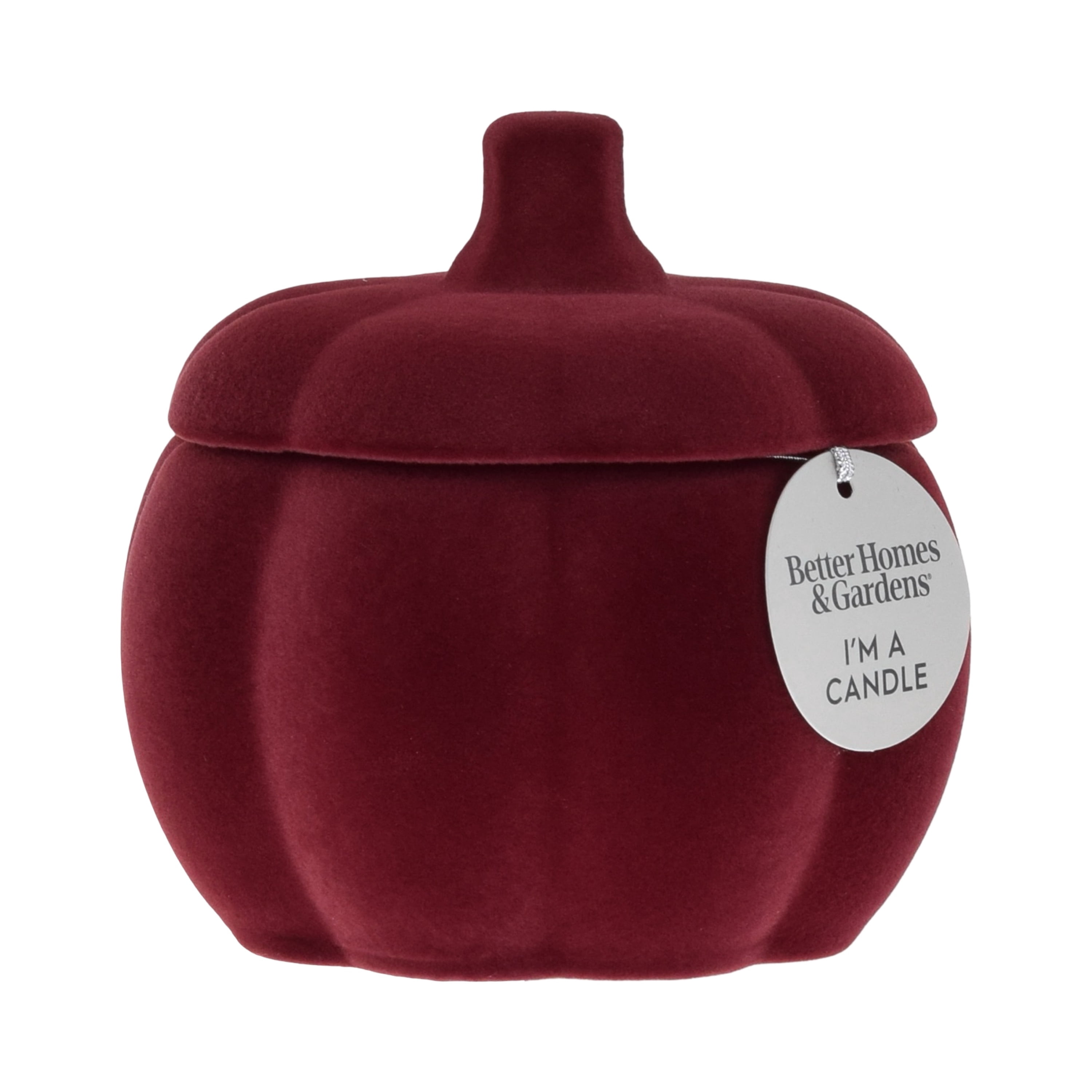 Better Homes & Gardens Spicy Cinnamon Sticks Scented 2-Wick 10oz (284.3 g) Medium Flocked Pumpkin Jar Candle