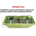 thumbnail image 2 of maskred 10 Pcs, Fraises pour protection propagation durable, Pas pour Jardin, 2 of 6