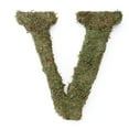 thumbnail image 4 of Large (15") Moss Monogram, A, 4 of 7