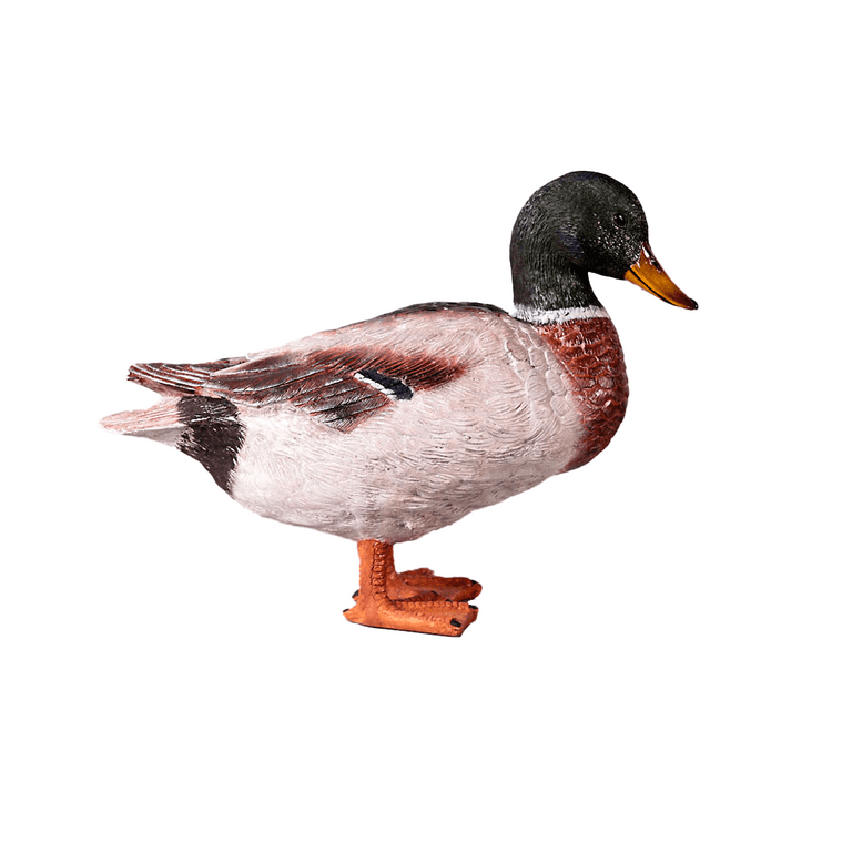 Male Mallard Duck Life Size Statue 