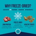 thumbnail image 4 of Stewart Freeze-Dried Chicken Liver Training Treats, Single-Ingredient, 3 oz Pouch, 4 of 9