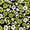 Green Flower Pattern, variant on Yayeee Faucet Mat for Kitchen Sink 14.7" Diatomite Long Splash Guard Pad, Colorful Stars