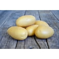 thumbnail image 1 of Pomme de terre Queen Anne, 1 of 1