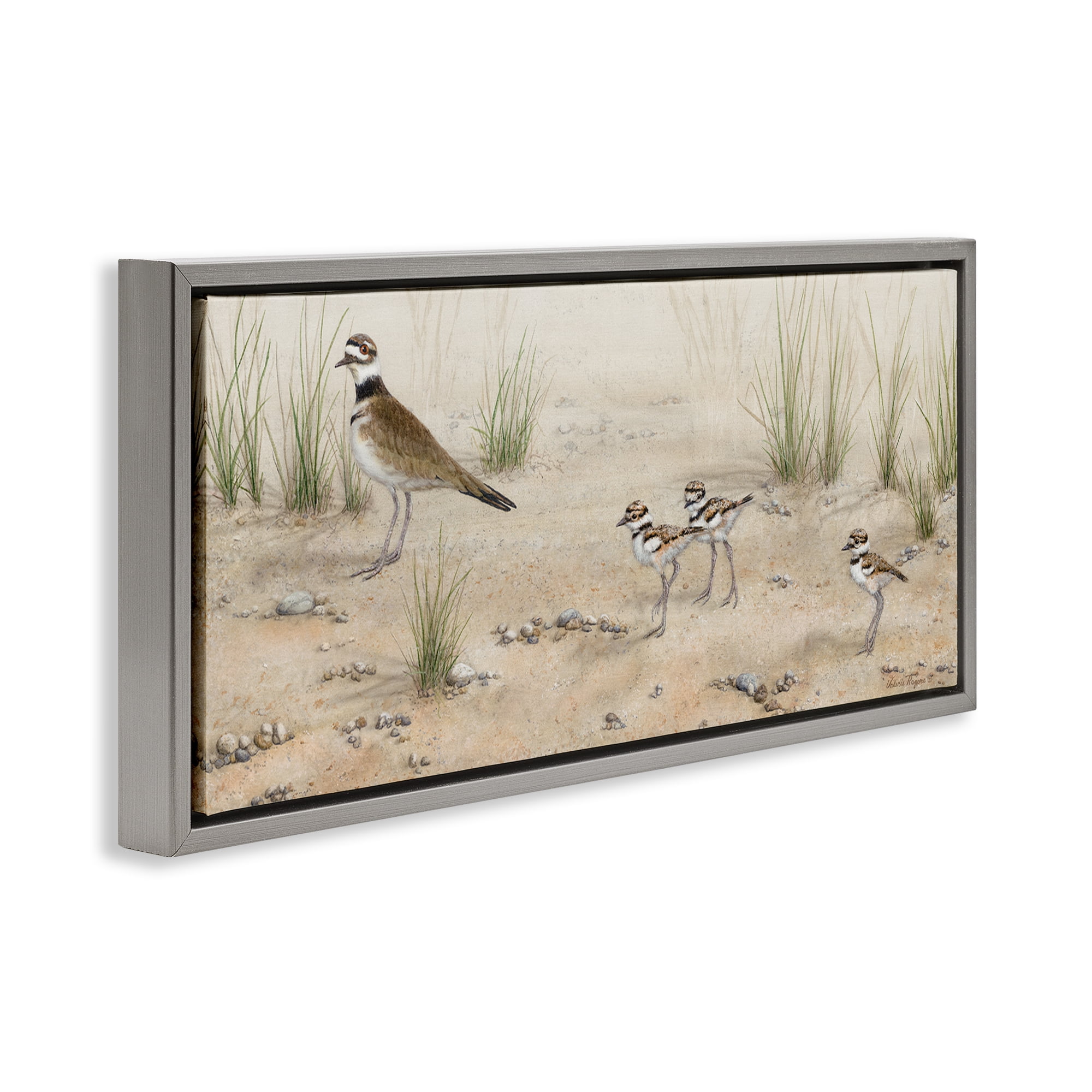 Stupell Industries Kildeer Birds Stepping Landscape & Nature Painting Gray Floater Framed Canvas Art Print Wall Art, 25 x 11