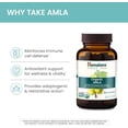 thumbnail image 4 of Himalaya Organic Amla supplement Natural Antioxidant for Immune Support, 60 Caplets, 4 of 7