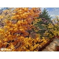 thumbnail image 5 of Watermill K-171 Merejka Counted Cross-Stitch Kit, 5 of 5