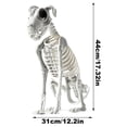 thumbnail image 4 of Adornos calavera Hueso perro esqueleto Wdftyju Halloween, 4 of 9