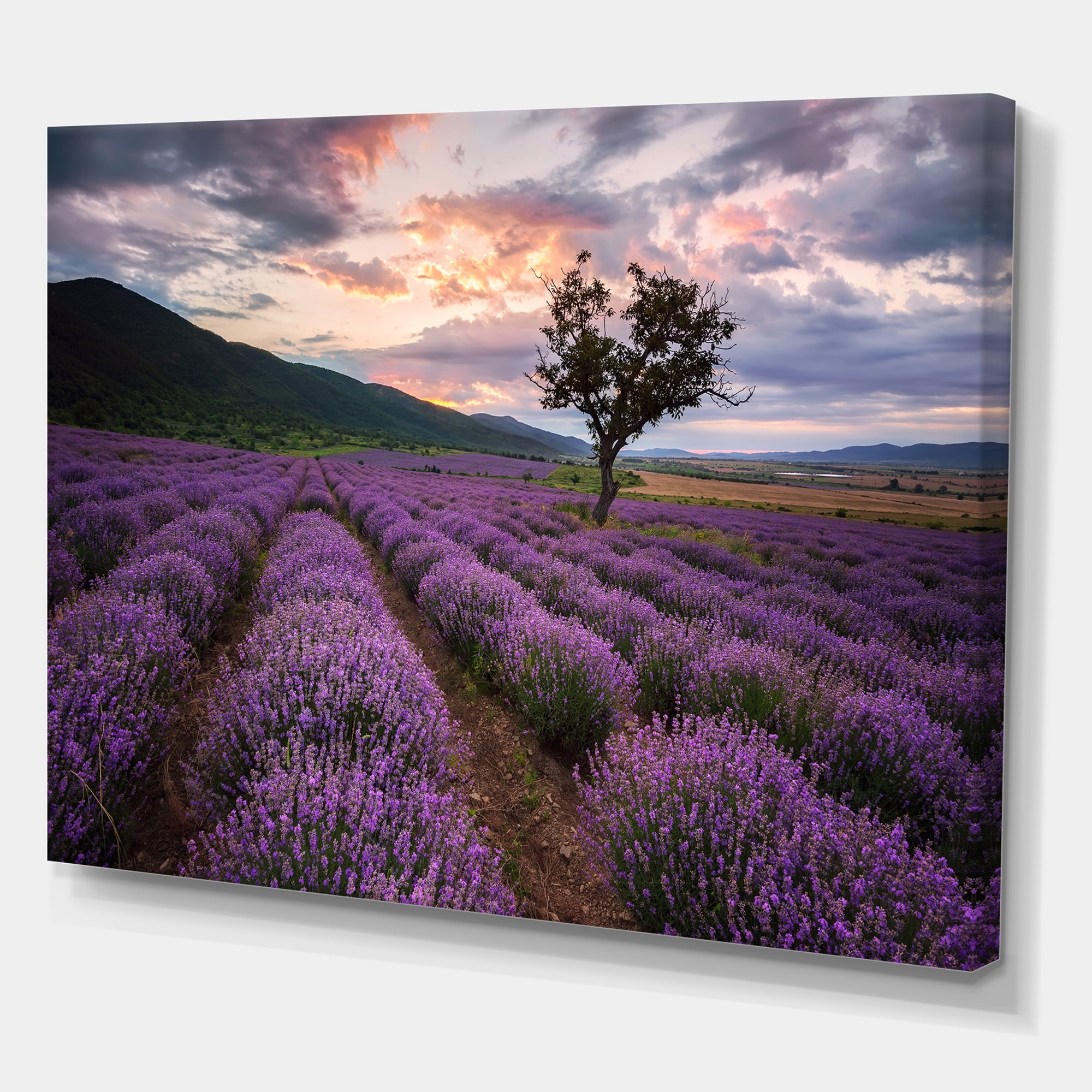 Lavender Field At Sunrise III 12 in x 8 in Photography Canvas Art Print, by Designart