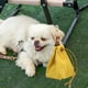 thumbnail image 5 of Bolsa portátil de bocadillos para perros | Bolsa de golosina con cordón de lona para entrenamiento, caminata, senderismo | Contenedor de comida para mascotas manos libres | A prueba de fugas | 7,09, 5 of 6