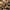 Camo, variant on TriggerPoint GRID 1.0 Foam Roller