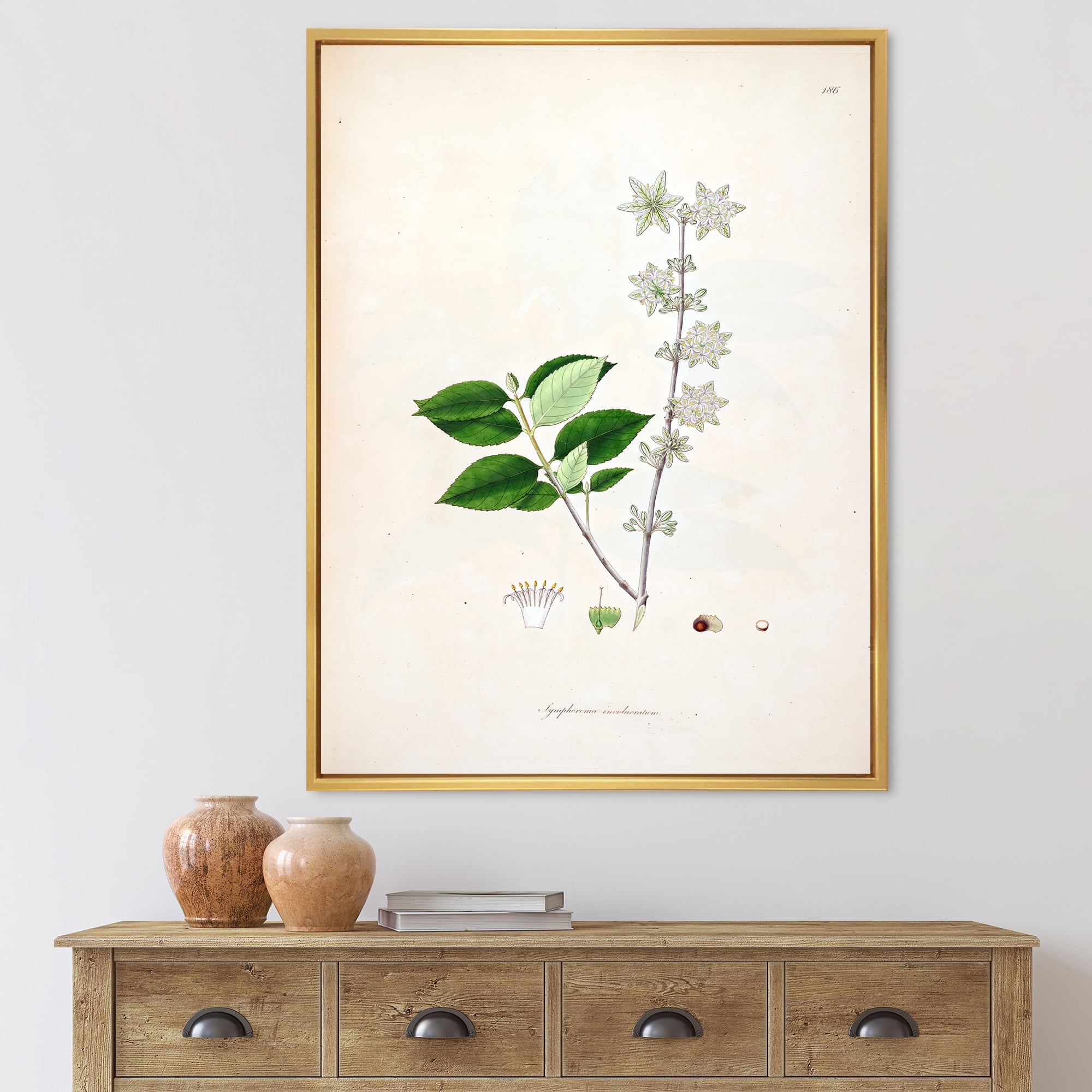 Ancient Botanicals XV' 12" x 20" Framed Painting Canvas Art Print, by Designart