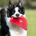 thumbnail image 3 of shiyou-Nylon Flying Disk Dog Toy, Large, Red, 3 of 4