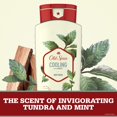 thumbnail image 4 of Old Spice Body Wash for Men Invigorate with Cooling Mint 16 fl oz, 4 of 7