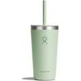 thumbnail image 1 of Hydro Flask Gobelet en Acier Inoxydable Tout Autour 20 Oz avec Paille Flexible Résistante aux Fuites et Couvercle à Pression, Aloe, 1 of 7