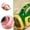 B, variant on Petal Playful Horn Speaker Animal Gathering Horn For Sound Effects and Laughable Noisemaker for Kids and Adults