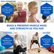 BioTrust Ageless Muscle Builder - Micronized Creatine Monohydrate Powder with HMB, Vitamin D3 & Betaine - Build & Preserve Naturally Declining Muscle Mass & Strength - Fruit Punch, 30 Servings