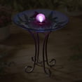 thumbnail image 3 of Bañera Solar Orb de cristal floral con forma de colibrí y soporte, 3 of 5