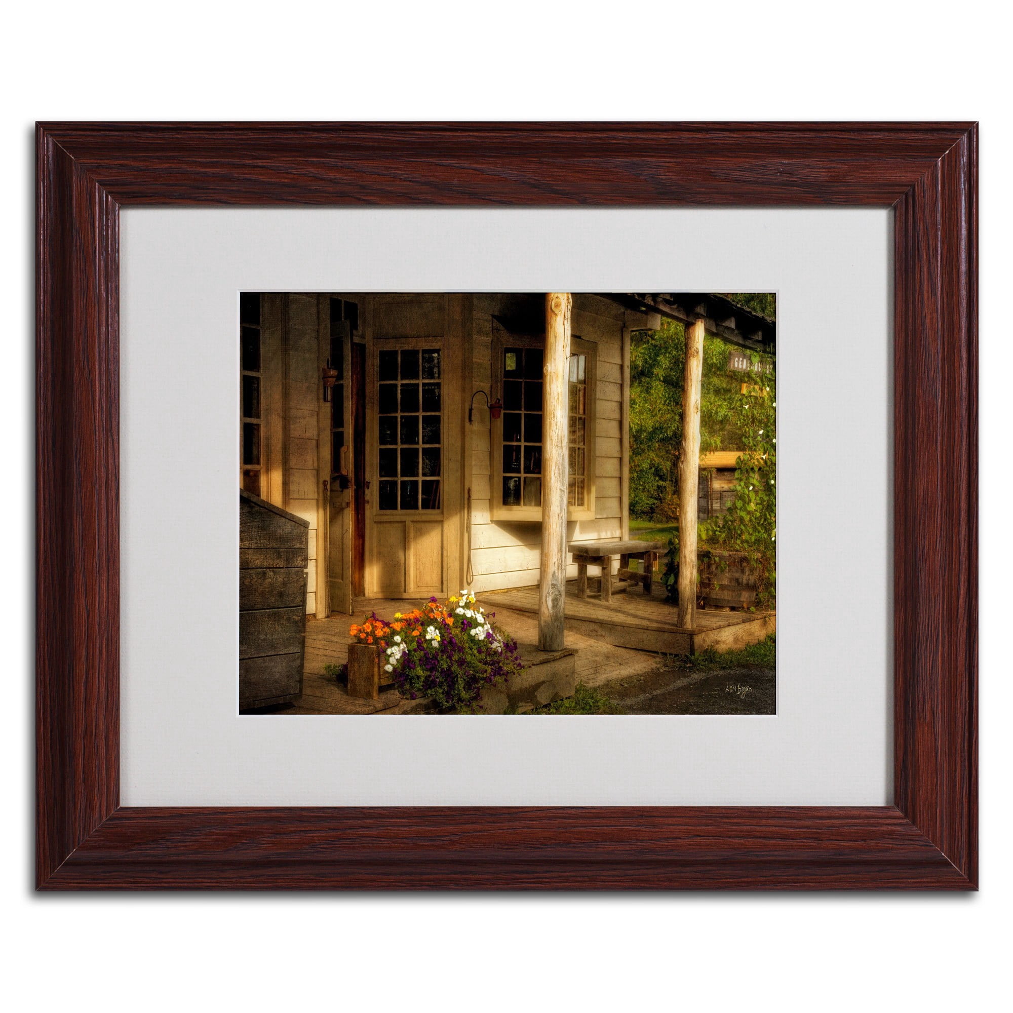 Trademark Fine Art "The Old General Store" by Lois Bryan, Black Frame