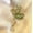 Butterfly Green, variant on Sunlower Btterfly Panda Collar Suit Shirt Shinny Pearl Neck Pin Brooch Gift-Sunflower