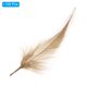 thumbnail image 3 of Uxcell 5-6 Inch Plumas de gallo, paquete de 100 plumas naturales a granel para manualidades estilo 2, marrón claro, 3 of 5