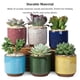 thumbnail image 4 of Maceta Injueey 6 piezas cerámica hielo grieta Mini Cactus planta bonsái suculentas Rojo, 4 of 6