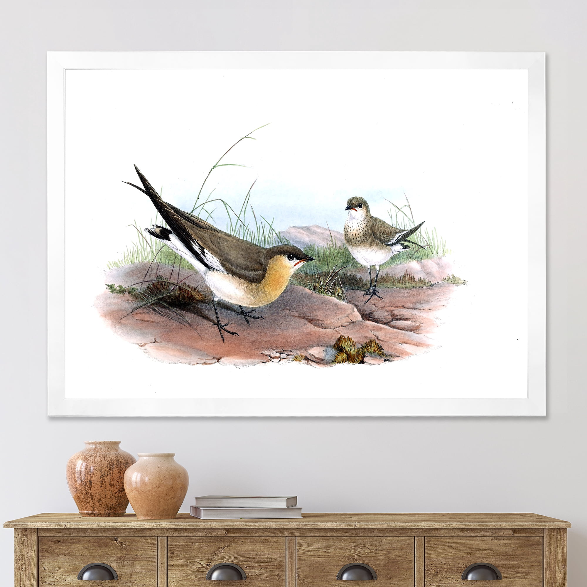 Designart 'Ancient Bird Illustration II' Farmhouse Framed Art Print