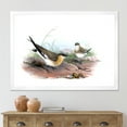 thumbnail image 3 of Designart 'Ancient Bird Illustration II' Farmhouse Framed Art Print, 3 of 4
