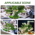 thumbnail image 3 of unbranded Acuáticas Decorativas De Plástico Para En De Peces, 3 of 8