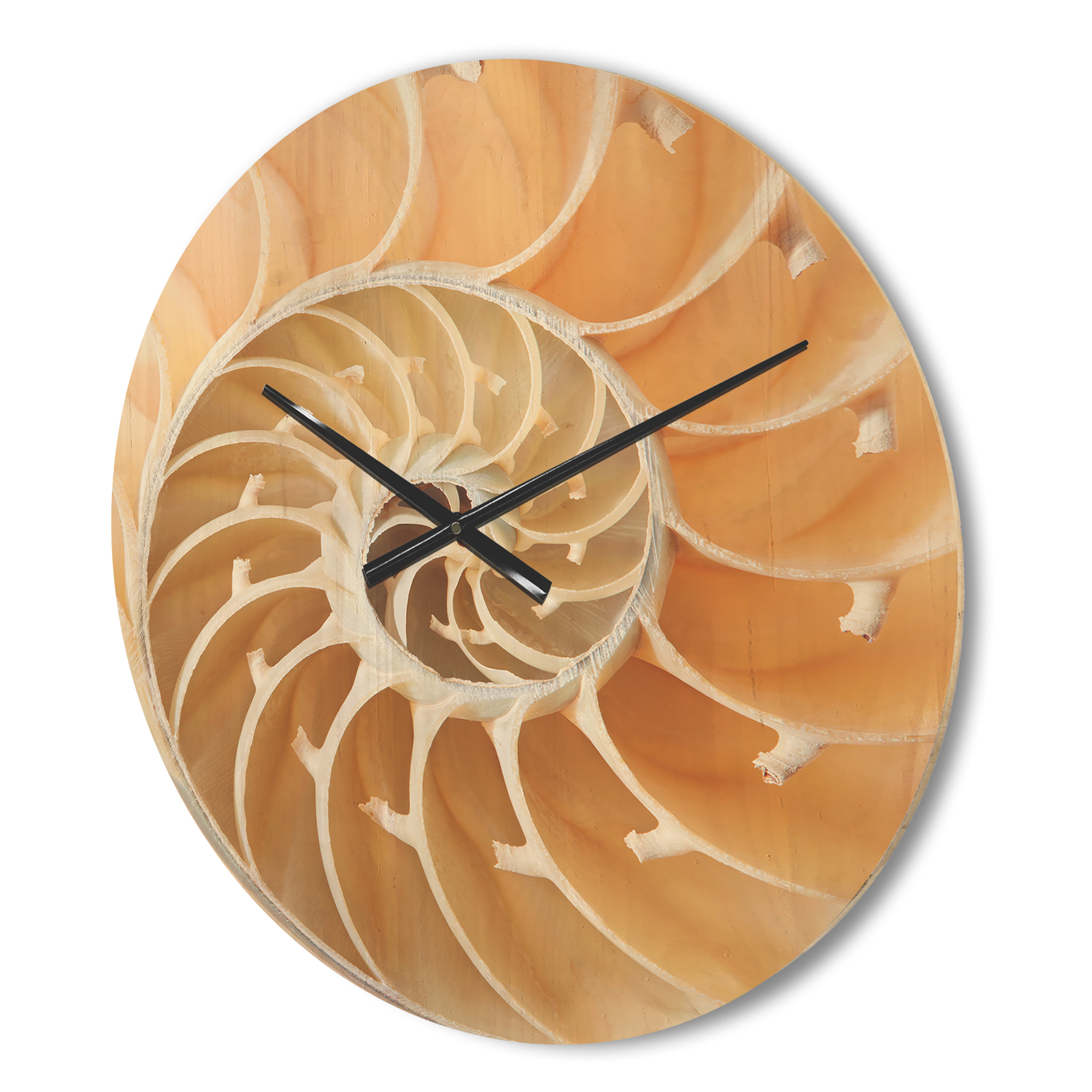 Designart 'Close Up Brown Nautilus Shell Pattern ' Modern Wood Wall Clock