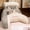 Gray Cat, variant on Cat Print Bedside Rest Pillow - Soft Polyester Reading & Lumbar Support Cushion, Decorative Throw Pillow for Bed Sofa or Nap, Hand Wash, Multiple Colors