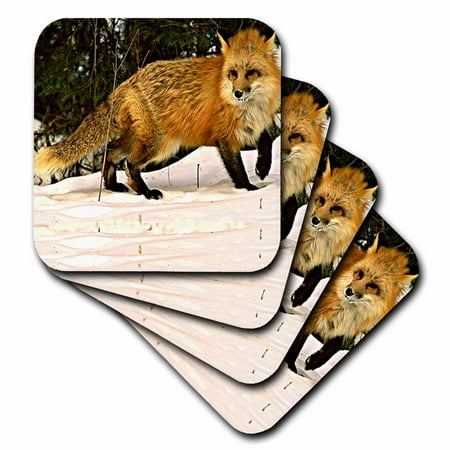 

Red Fox set of 4 Coasters - Soft cst-771-1