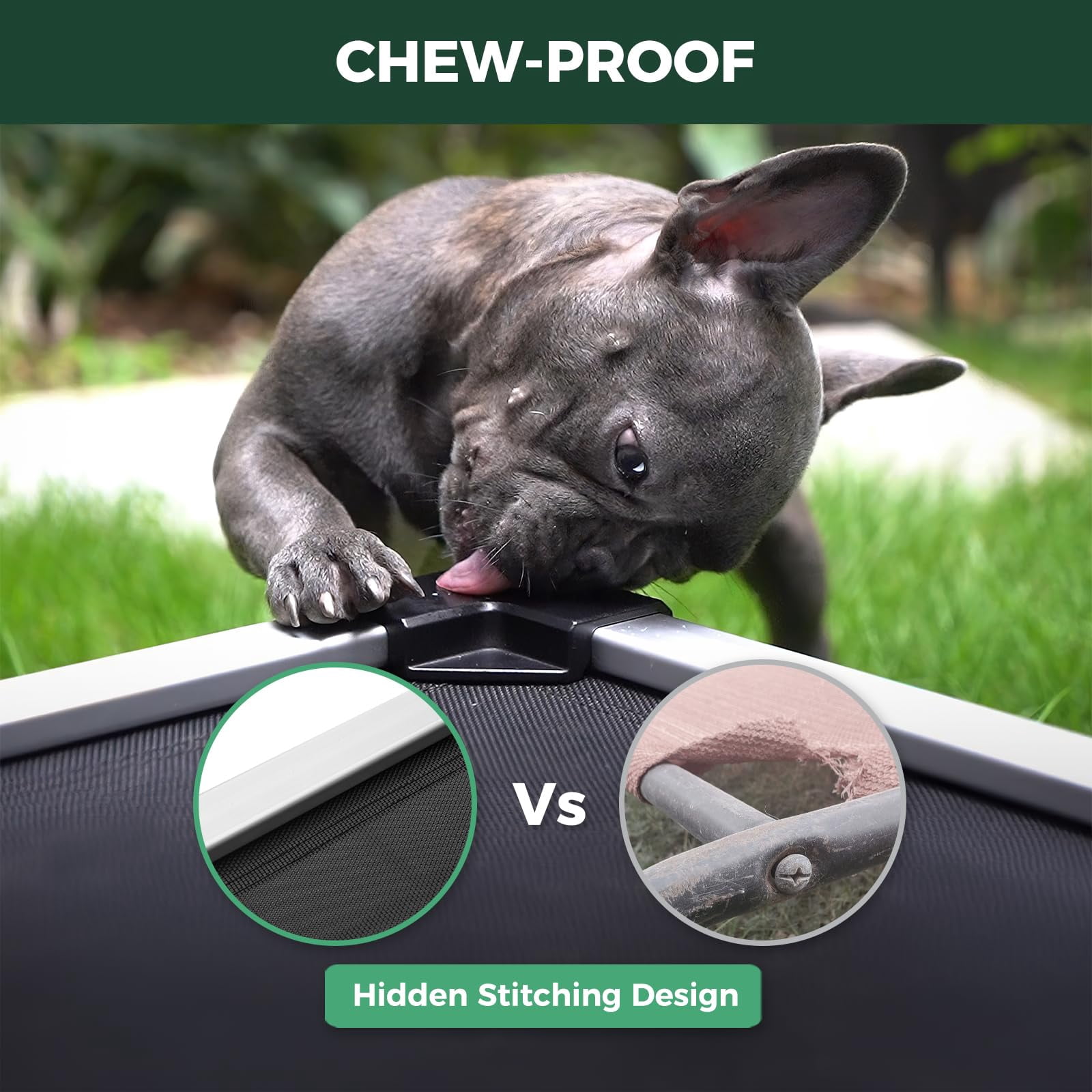 FXW TitanNest Chew-Proof Elevated Dog Bed, Raised Cot for Indoor/Outdoor/Camping Use, Durable & Waterproof Cooling Pet Bed for Extra Large Dogs, 56.0"L x 31.0"W x 7.3"H, Black