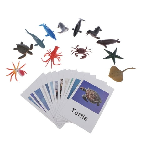 Cartes assorties Montessori et figurines d'animaux de l'océan - Lot de 12 -  Apprentissage précoce