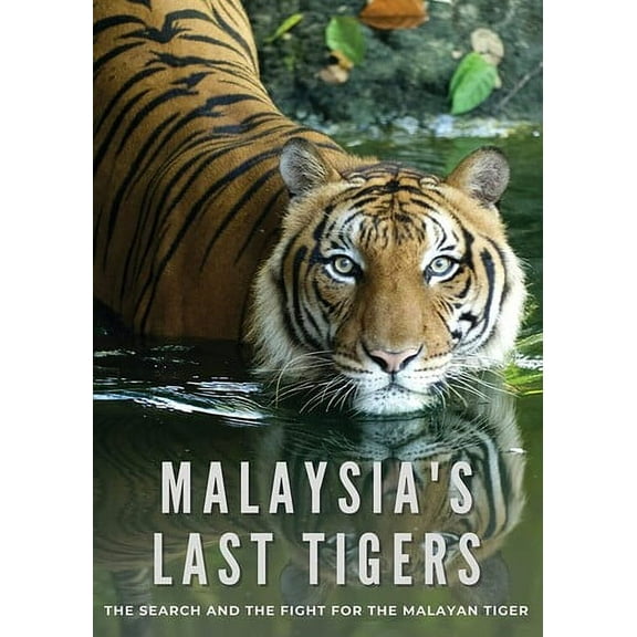 Malaysia's Last Tigers (DVD), Dreamscape, Documentary