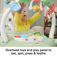 thumbnail image 3 of Fisher-Price Baby Bouncer SpaceSaver Jumperoo Activity Center, 3 of 6