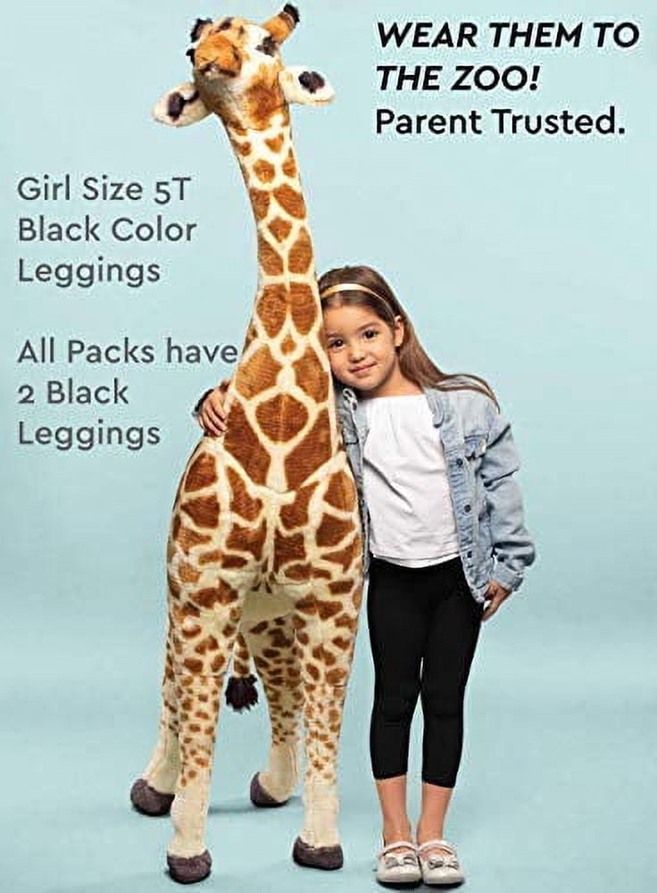 MISS POPULAR 5-Pack Girls Leggings Sizes 4-16 Soft Comfortable Cotton Spandex with Elastic Waistband Many Colors