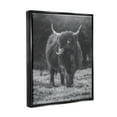 thumbnail image 3 of Stupell Monochrome Highland Cow Photography Animals & Insects Photography Black Floater Framed Art Print Wall Art, 3 of 6