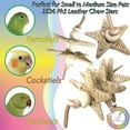 thumbnail image 2 of 3536 Leather Chew Stars - Handmade Chewable Leather & Rattan Bird Foot Toys, 2 of 6