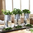 Ball Herb Growing SelfWatering Kit, 3 Pack