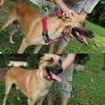 thumbnail image 5 of Apuakthei Collar de perro impermeable, collar de perro ajustable con bloque de color, adecuado para uso diario en entrenamiento, 5 of 5