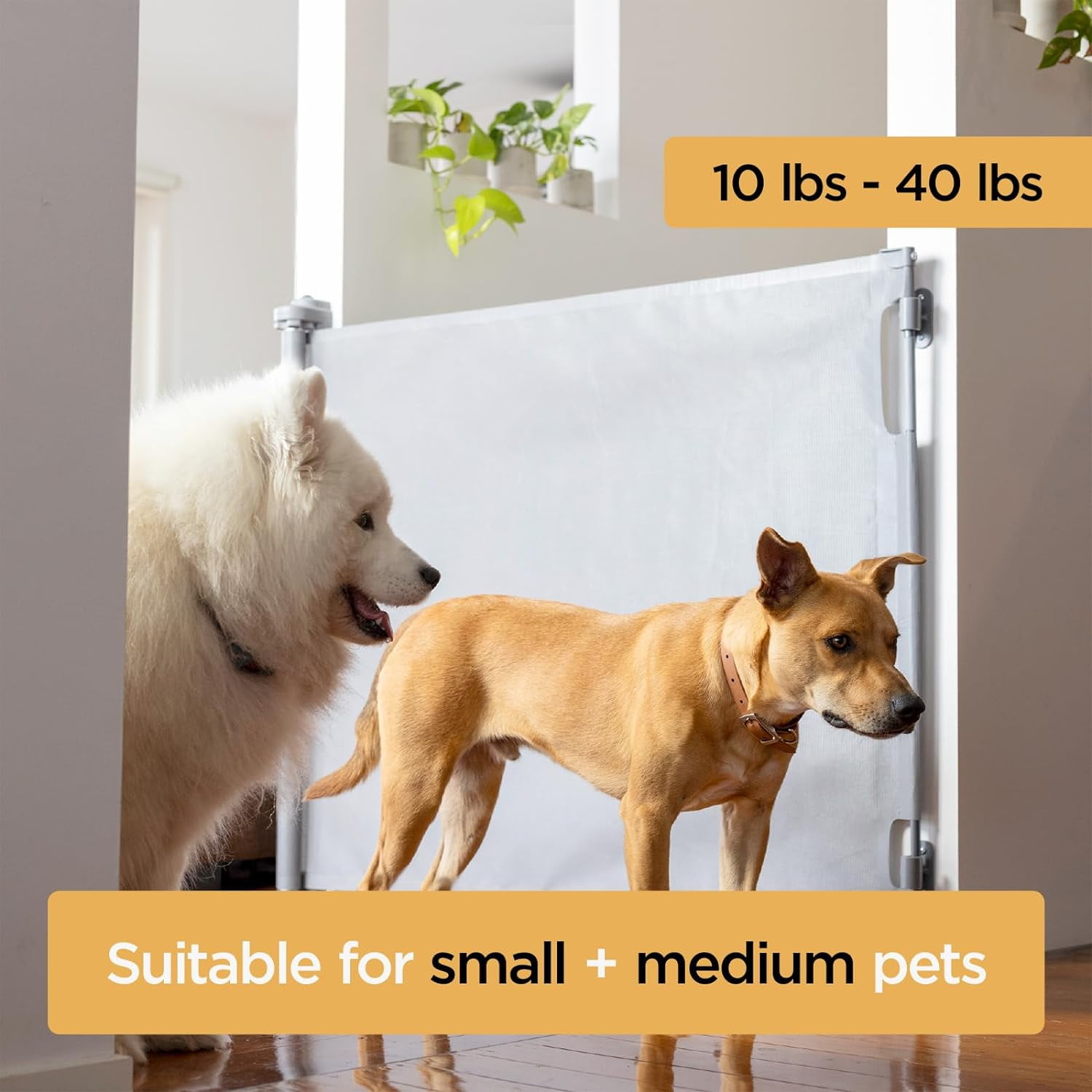 Philowng Indoor and Outdoor Claw-Proof Retractable Dog Gate, 36.6" High Extends up to 71" Wide, gray